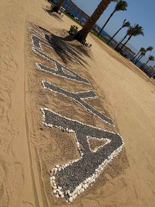Sonstiges Steigenberger Resort Alaya Marsa Alam - Red Sea - Adults only