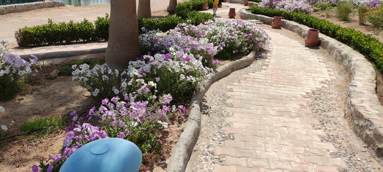 Gartenanlage Club Paradisio El Gouna, Red Sea