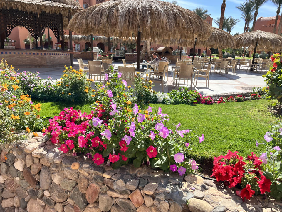 Gastro Jaz Makadi Oasis Resort