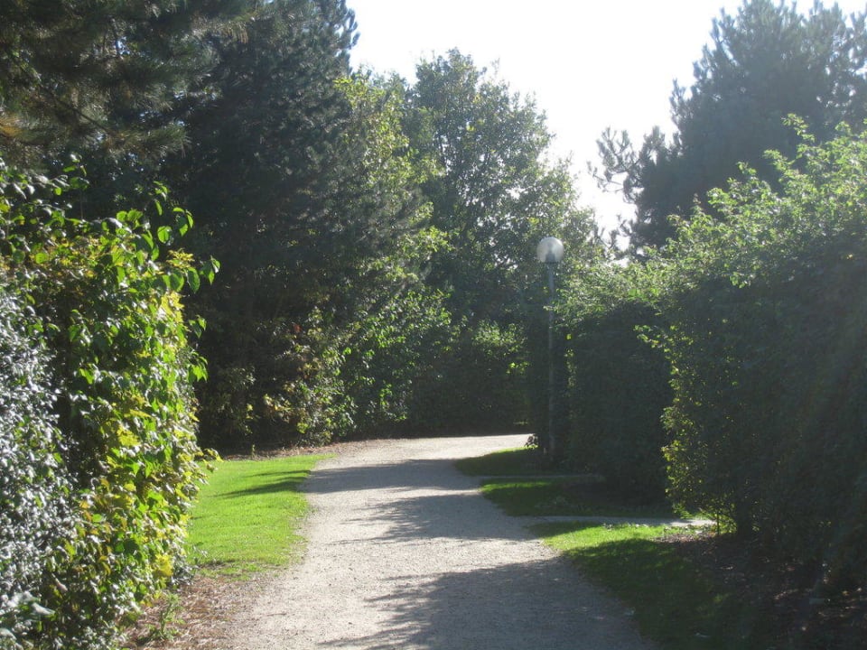 Park-Ansicht Center Parcs Park De Haan