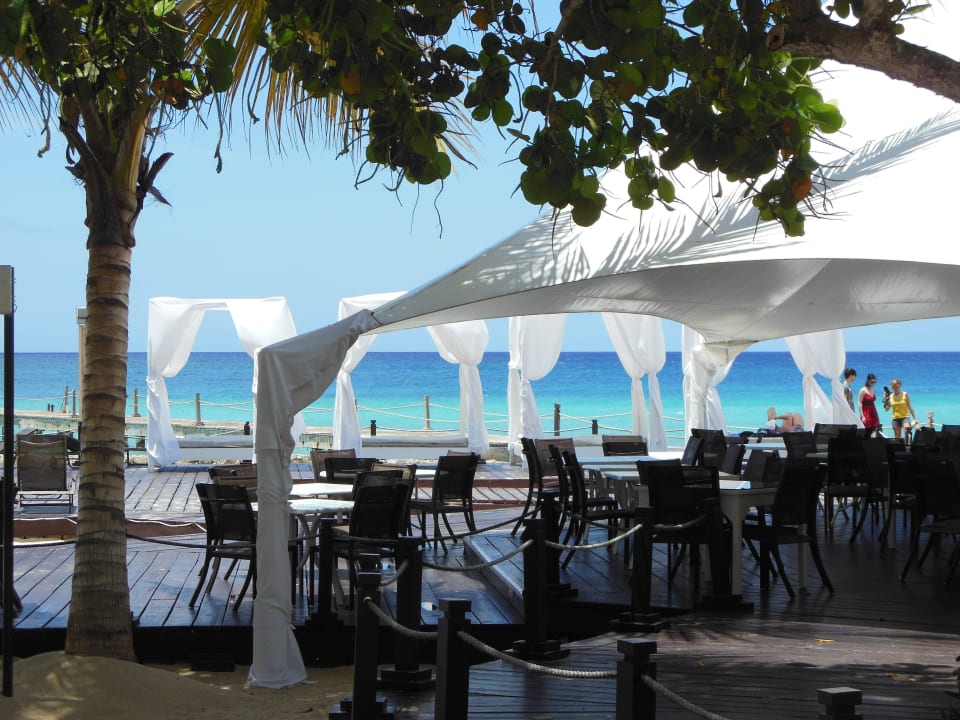 Viva Cafe Hotel Viva Dominicus Palace by Wyndham-All Inclusive Resort