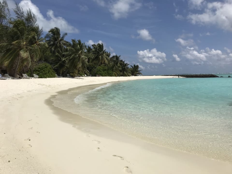 Strand Summer Island Maldives