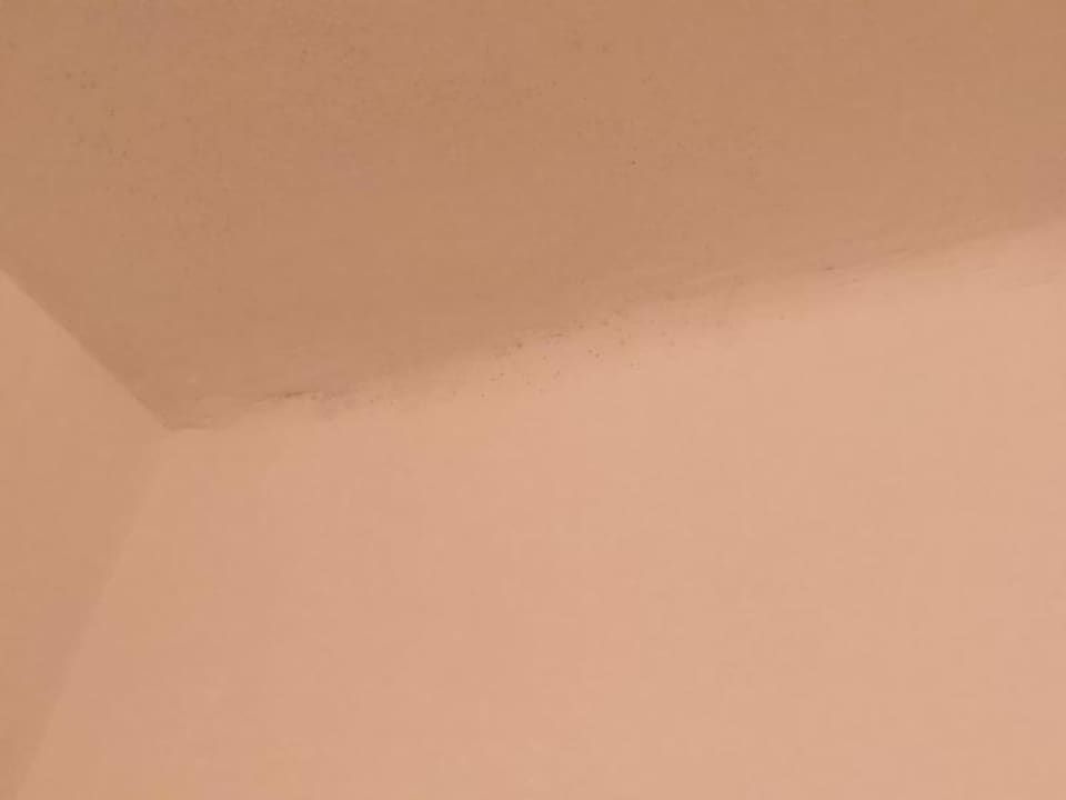 Schimmel Decke Bad Hotel Kiss Family