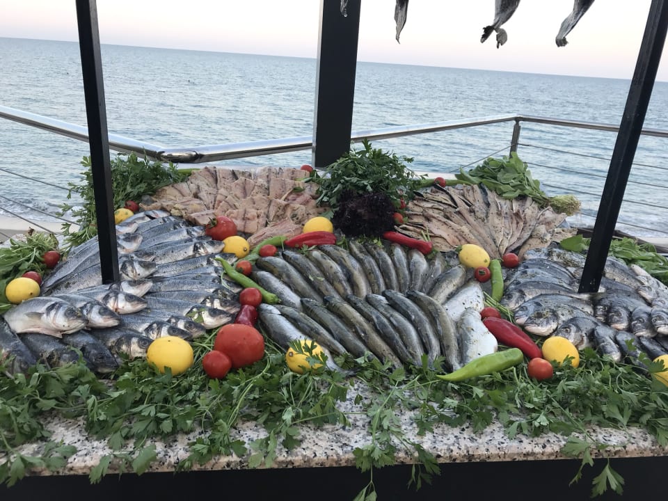 Gastro Corendon Playa Kemer
