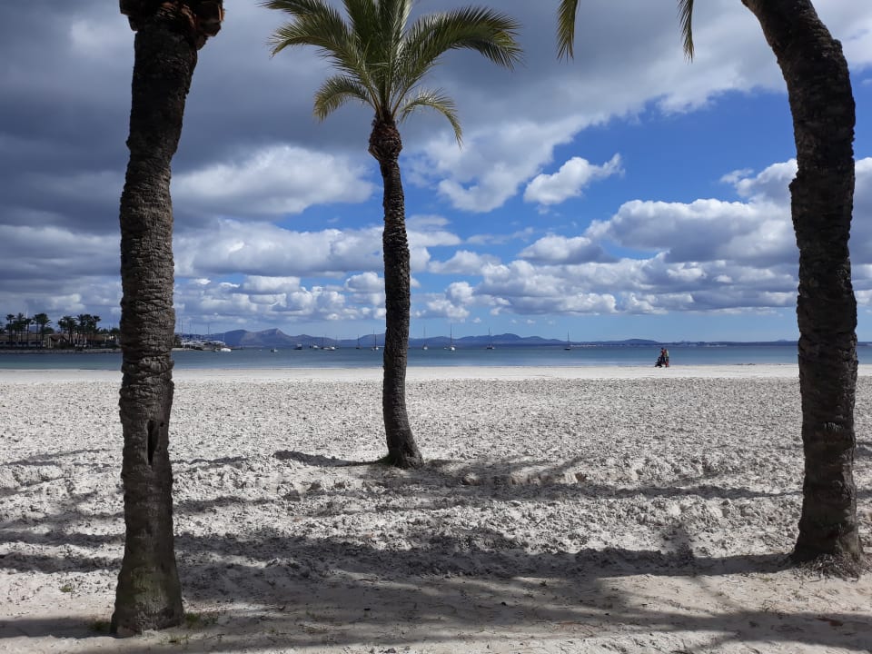 Strand Alcudia Garden Aparthotel