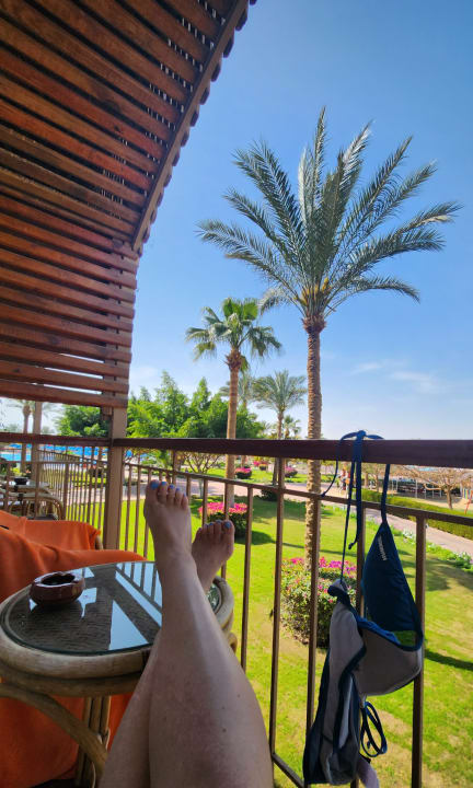 Ausblick Desert Rose