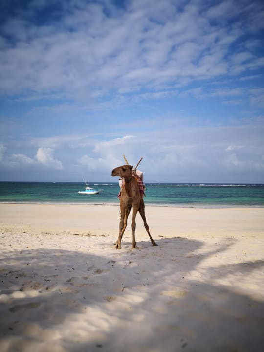 Strand Hotel Southern Palms Beach Resort