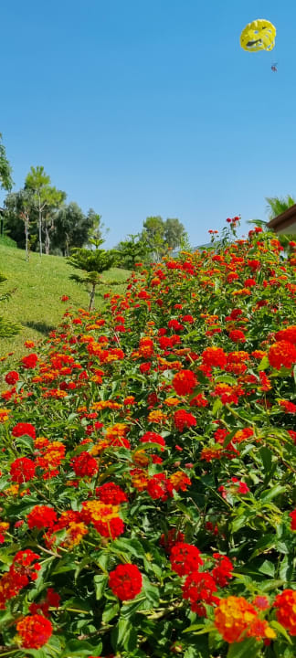 Gartenanlage Sultan of Dreams Hotel & Spa
