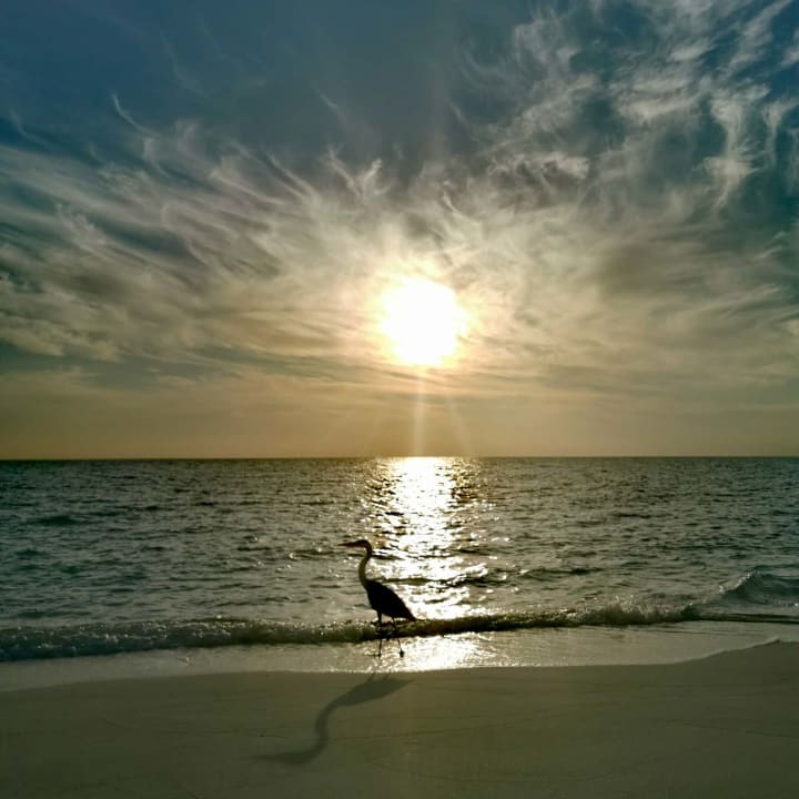Strand Summer Island Maldives