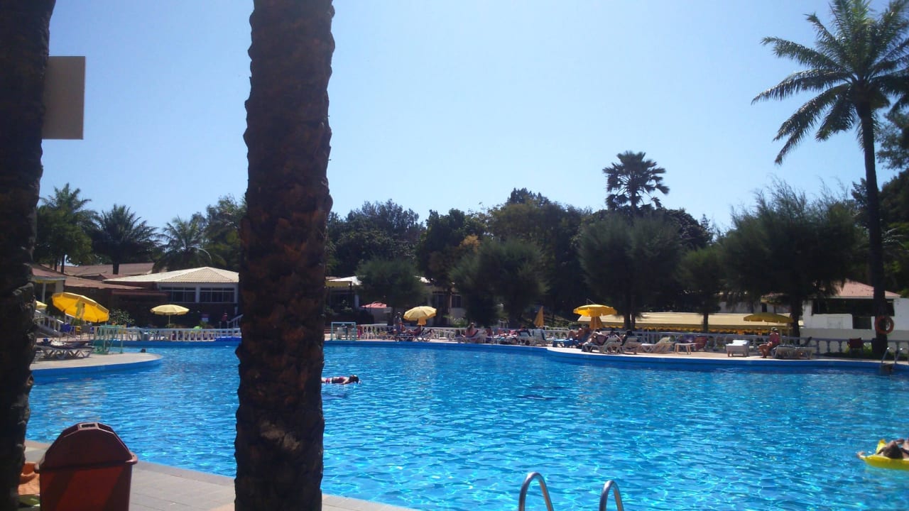 Palma Rima Palma Rima