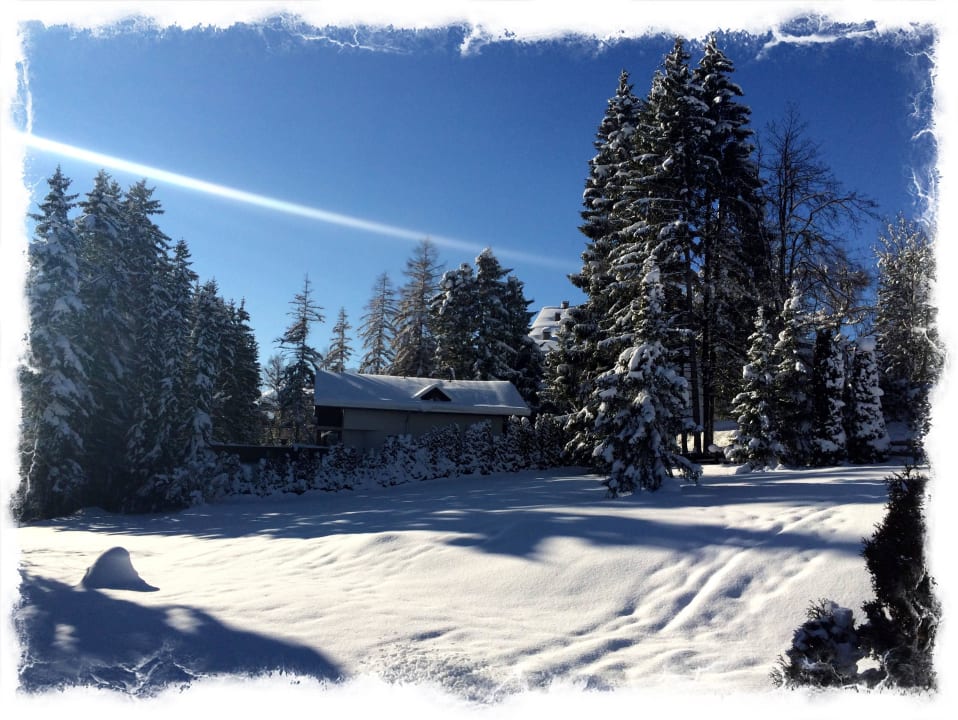 Blick in unseren schönen Garten Hotel Garni Sonnen - Alp