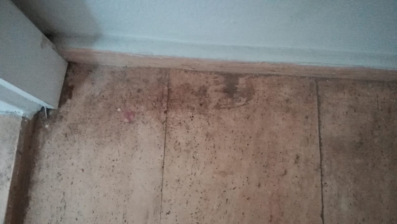 Zimmer Greenwood Kemer Resort