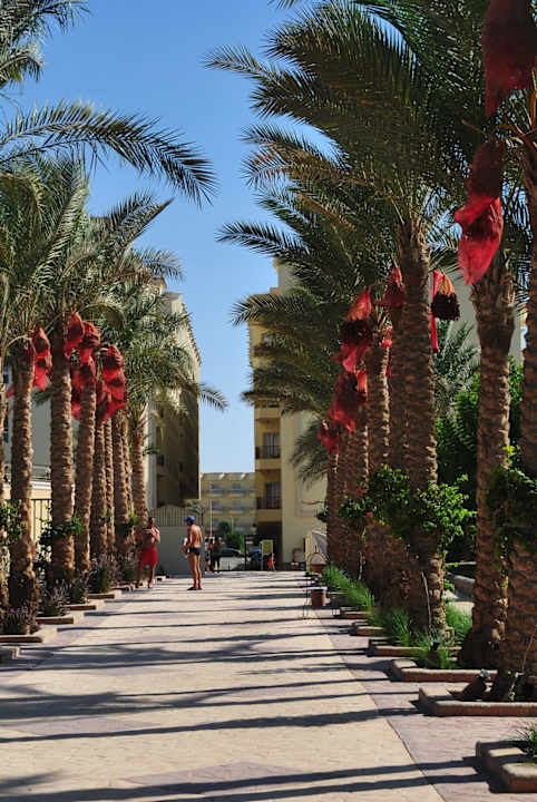 Festival Riviera Resort Riviera Aqua Park Resort