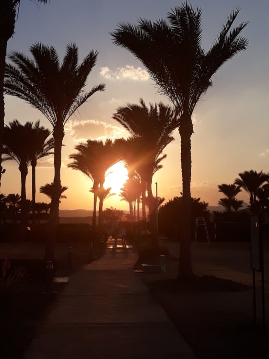 Gartenanlage Jaz Solaya