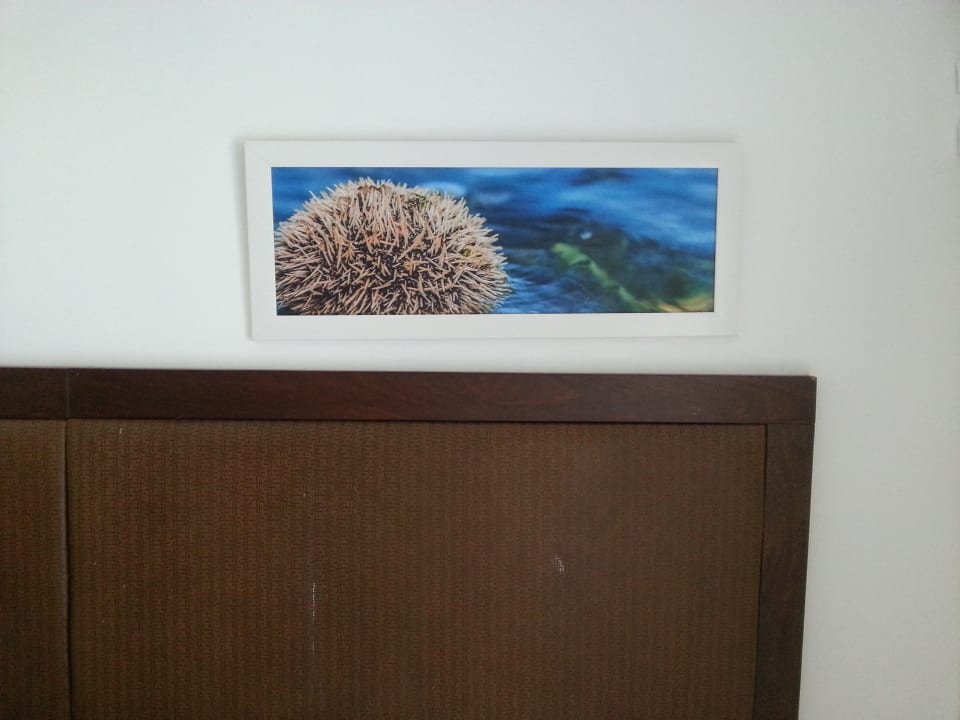 Zimmer Wyndham Alltra Samana