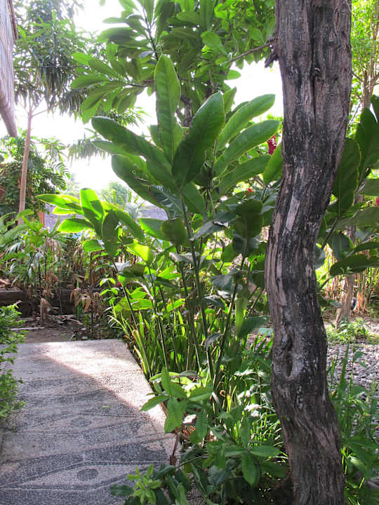 Gartenanlage La Bila Dive Resort Amed Bali