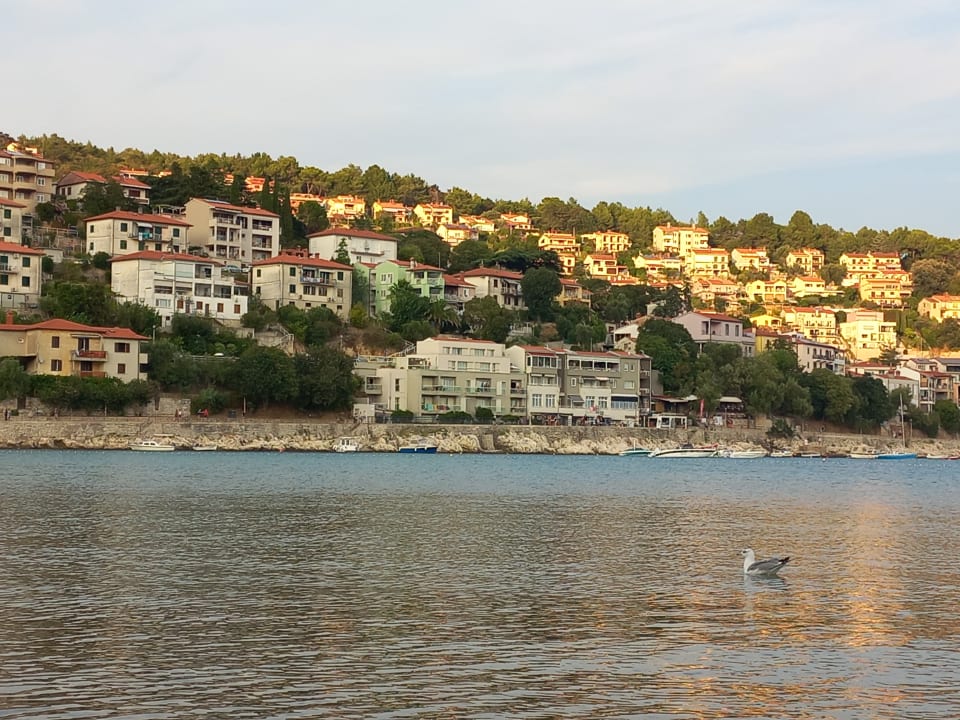 Ausblick Oliva Camping - Maslinica Resort