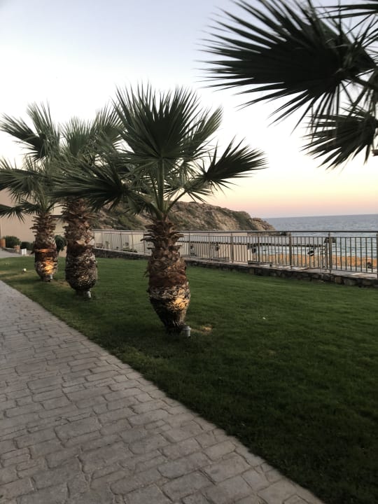 Gartenanlage Atlantica Mikri Poli Crete