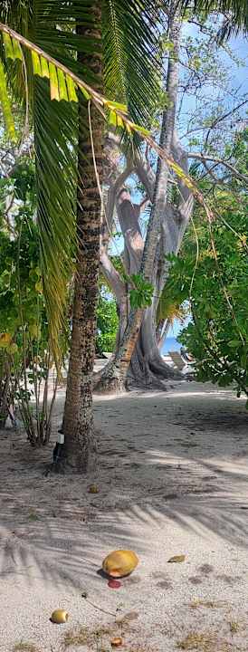 Gartenanlage Equator Village Resort