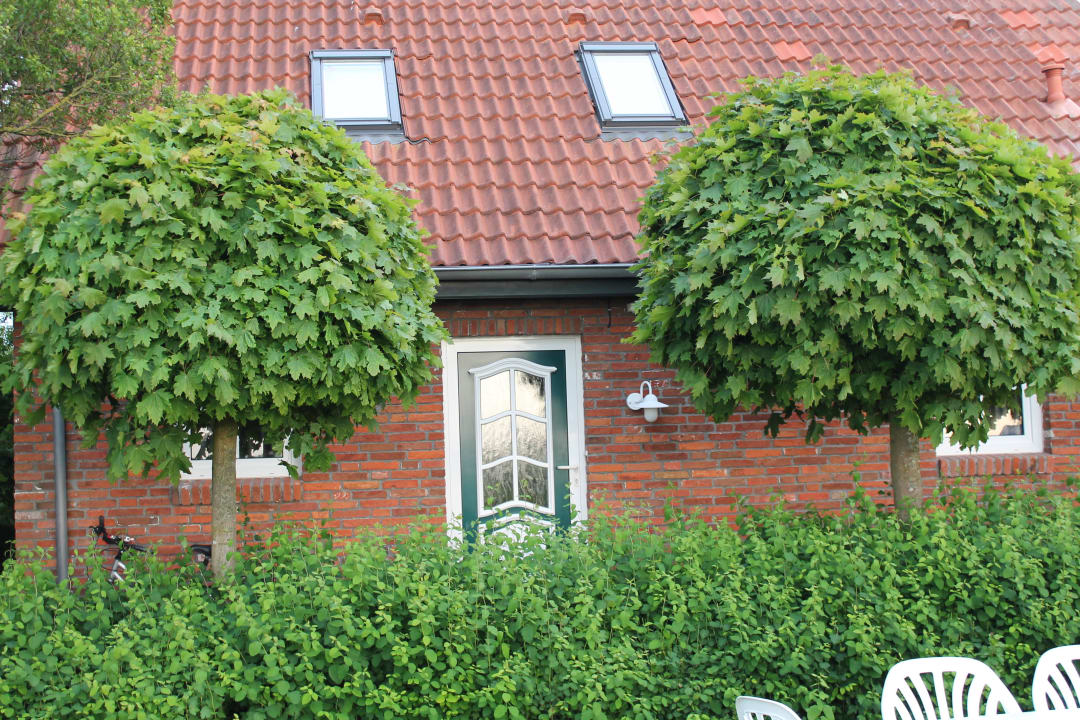 KleinesFerienhaus auf dem Hof  (eingangs Bereich) Ferienhof Ommen
