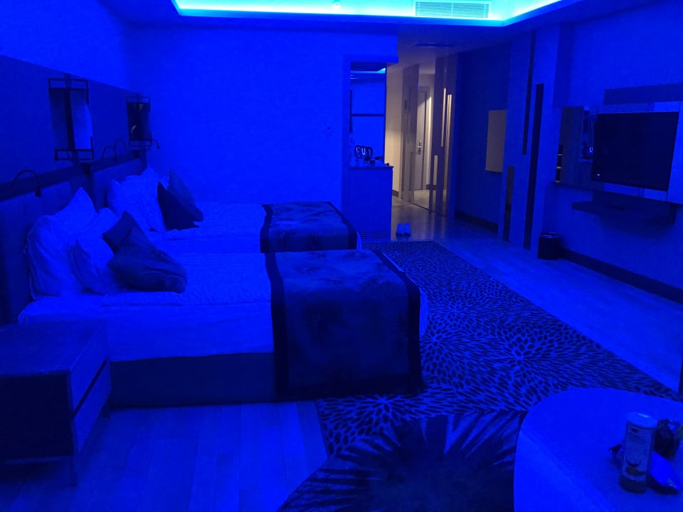 Zimmer Royal Seginus
