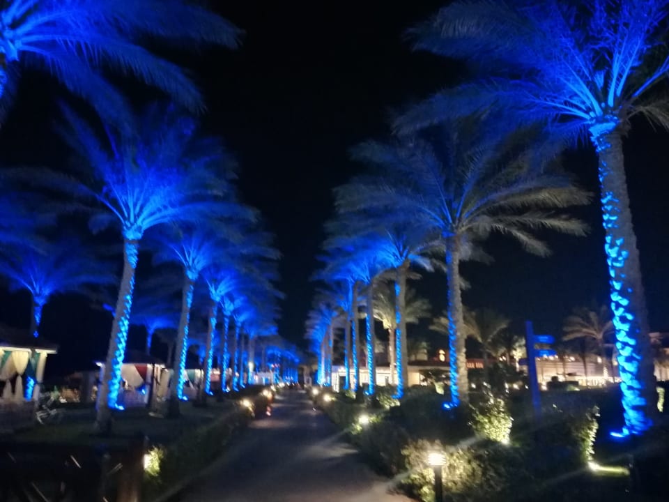 Gartenanlage Rixos Sharm El Sheikh Adults Only 18 +