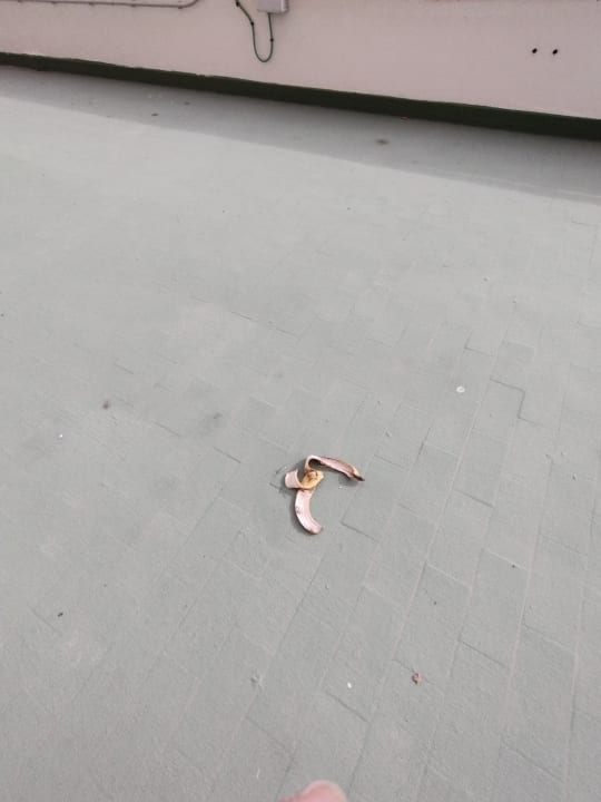 Ausblick allsun Hotel Lucana