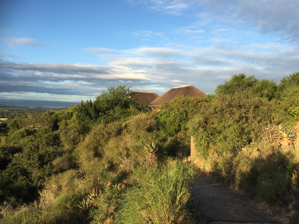 Natur pur Hitgeheim Country Lodge & Eco Reserve