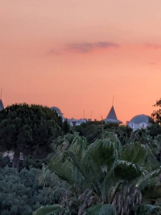 Außenansicht Royal Atlantis Beach Hotel
