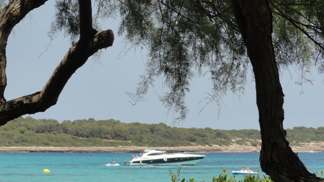 Schön Protur Palmeras Playa Aparthotel