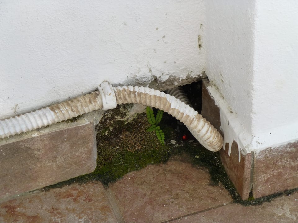 Sonstiges Sandy Beach Resort