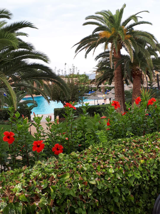 Außenansicht Anissa Beach & Village