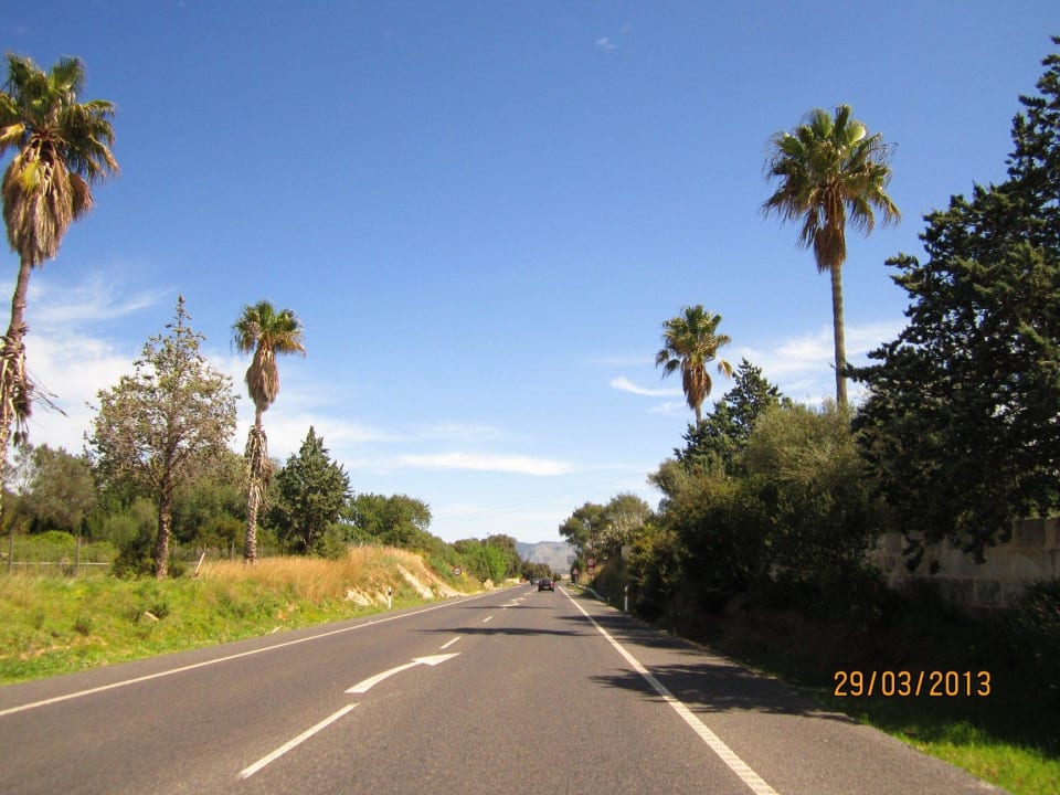 Buchen Sie eine Cabriofahrt mit Privat-Chauffeu Ferienwohnung Penthouse