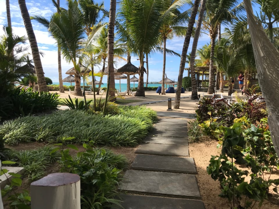 Ausblick Lagoon Attitude - Adults only