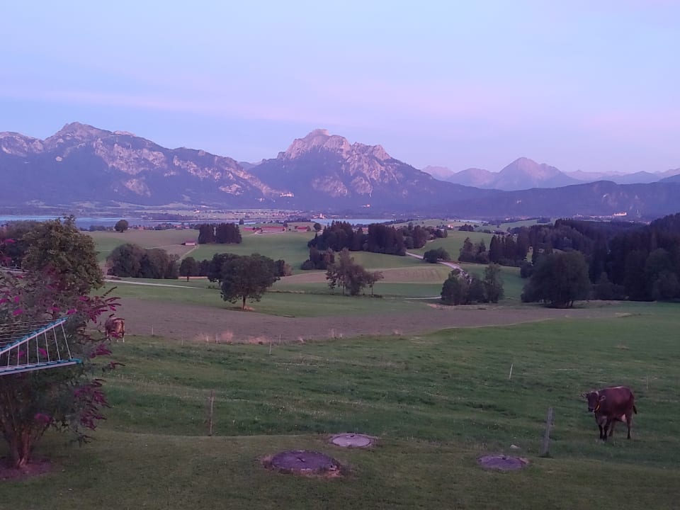 Ausblick Greinwaldhof Ferienwohnungen