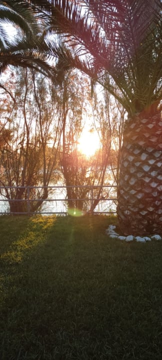 Gartenanlage Camping Village Lake Placid