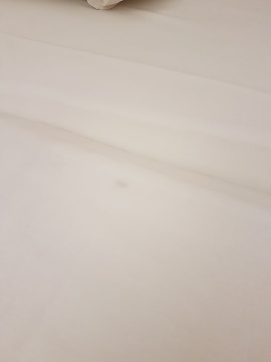 Zimmer Summer Village of Hippokrates - Adults only