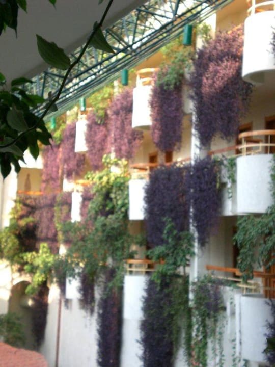 Die hängenden "Gärten" Hotel Defne Garden