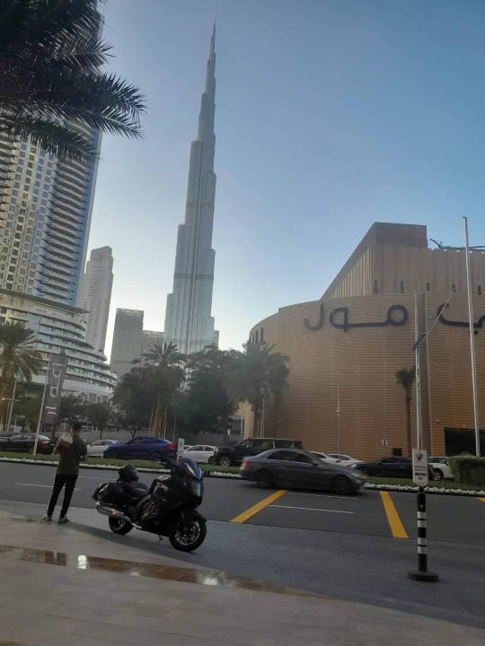 Ausblick Al Bandar Rotana - Creek