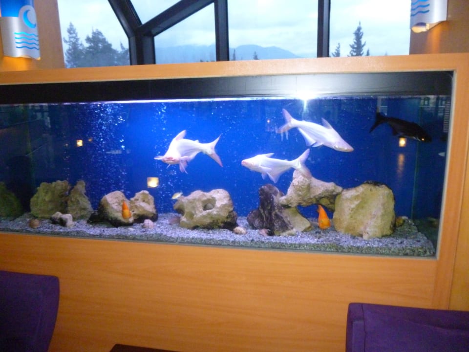 Aquarium  Limak Limra Hotel & Resort