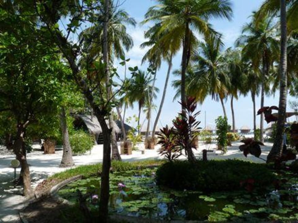Gartenanlage mit Teich Thulhagiri Island Resort