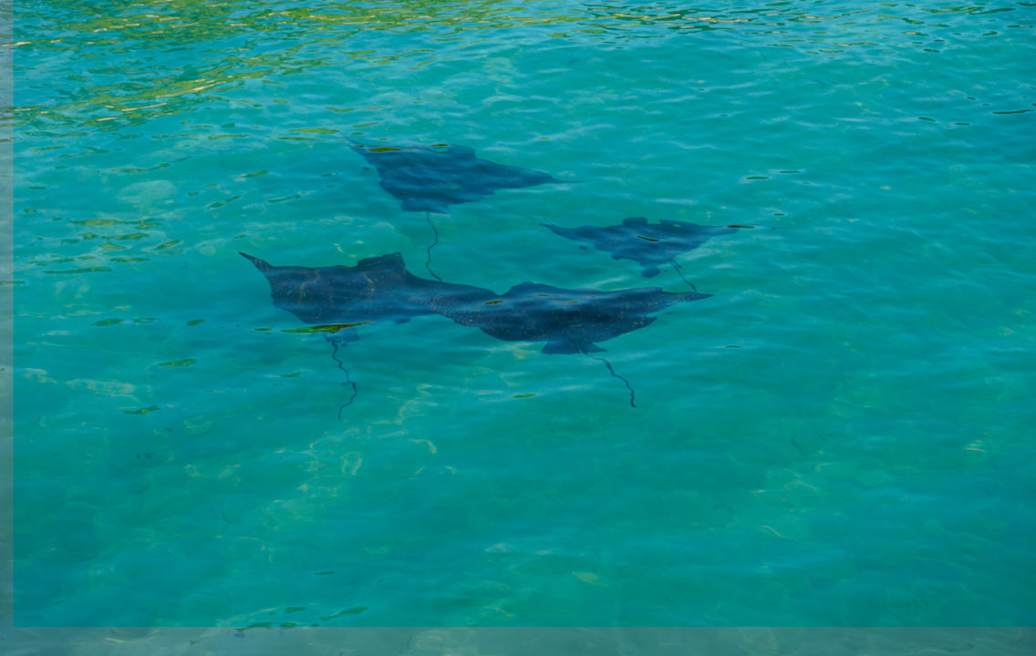 Sonstiges Jawakara Islands Maldives