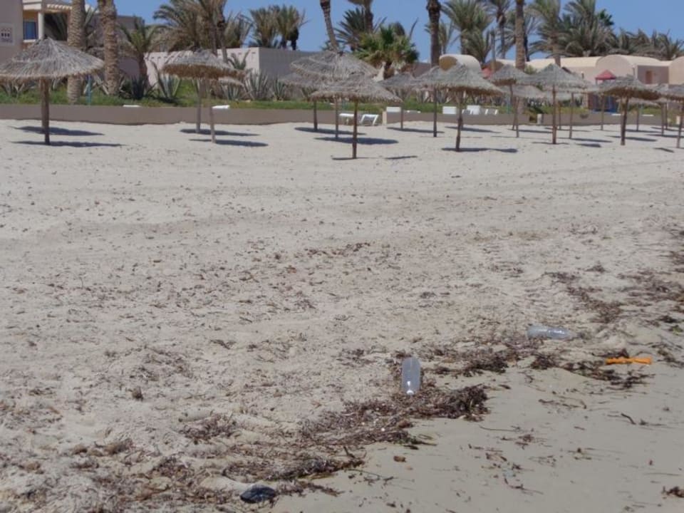 Hotelstrand seitlich verschmutzt (Müll) Zita Beach Resort