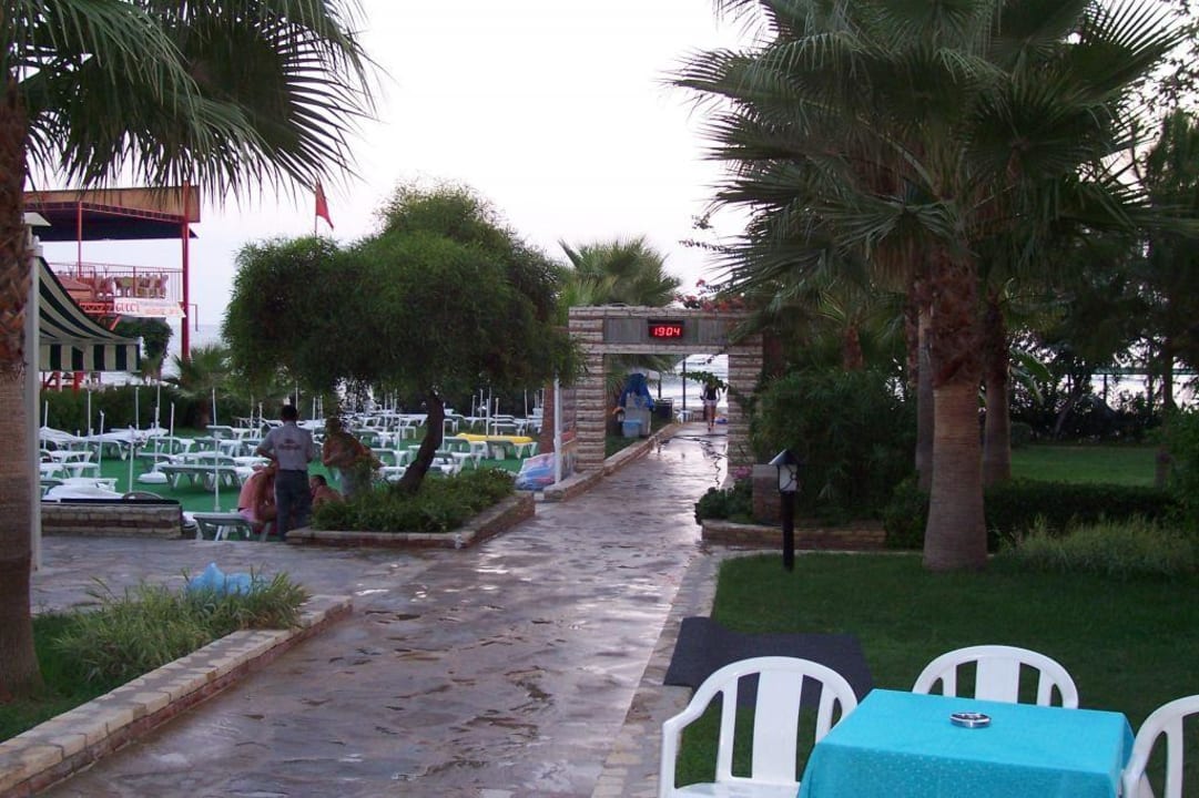 Weg zum Strand Trendy Palm Beach (Adults Only, 16+)