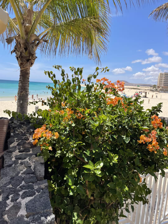 Außenansicht Hotel Riu Palace Tres Islas