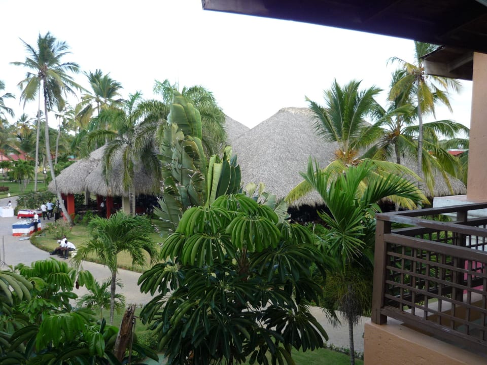 Blick von unserem Balkon Punta Cana Princess All Suites Resort & Spa