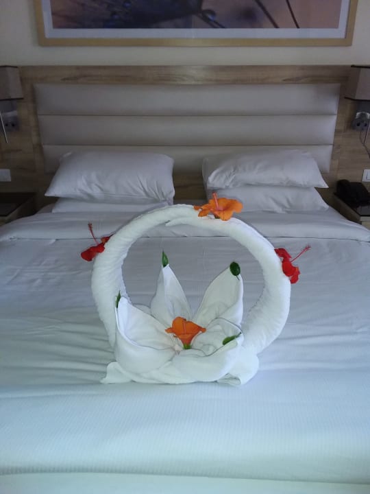 Zimmer Beach Albatros Resort