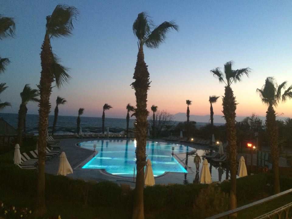 1 Pool von 3  Papillon Belvil