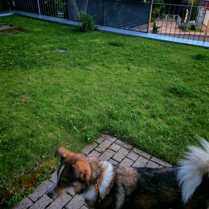 Zimmer Apartments Chalet Sonnenhang