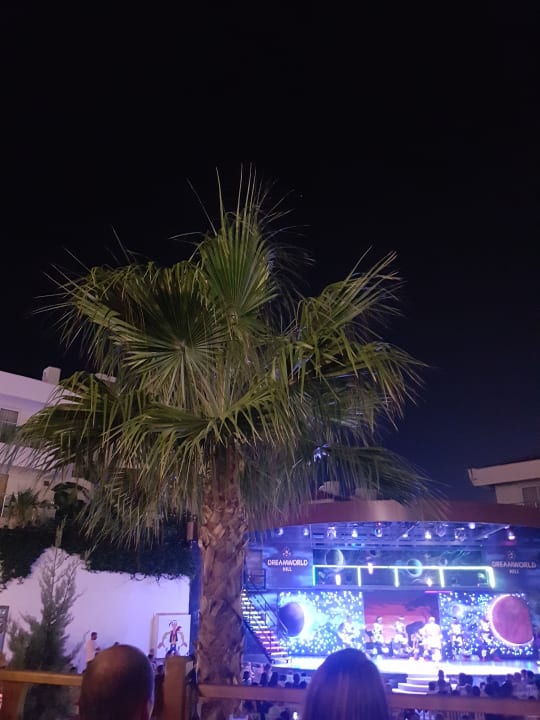 Gartenanlage Dream Family Club